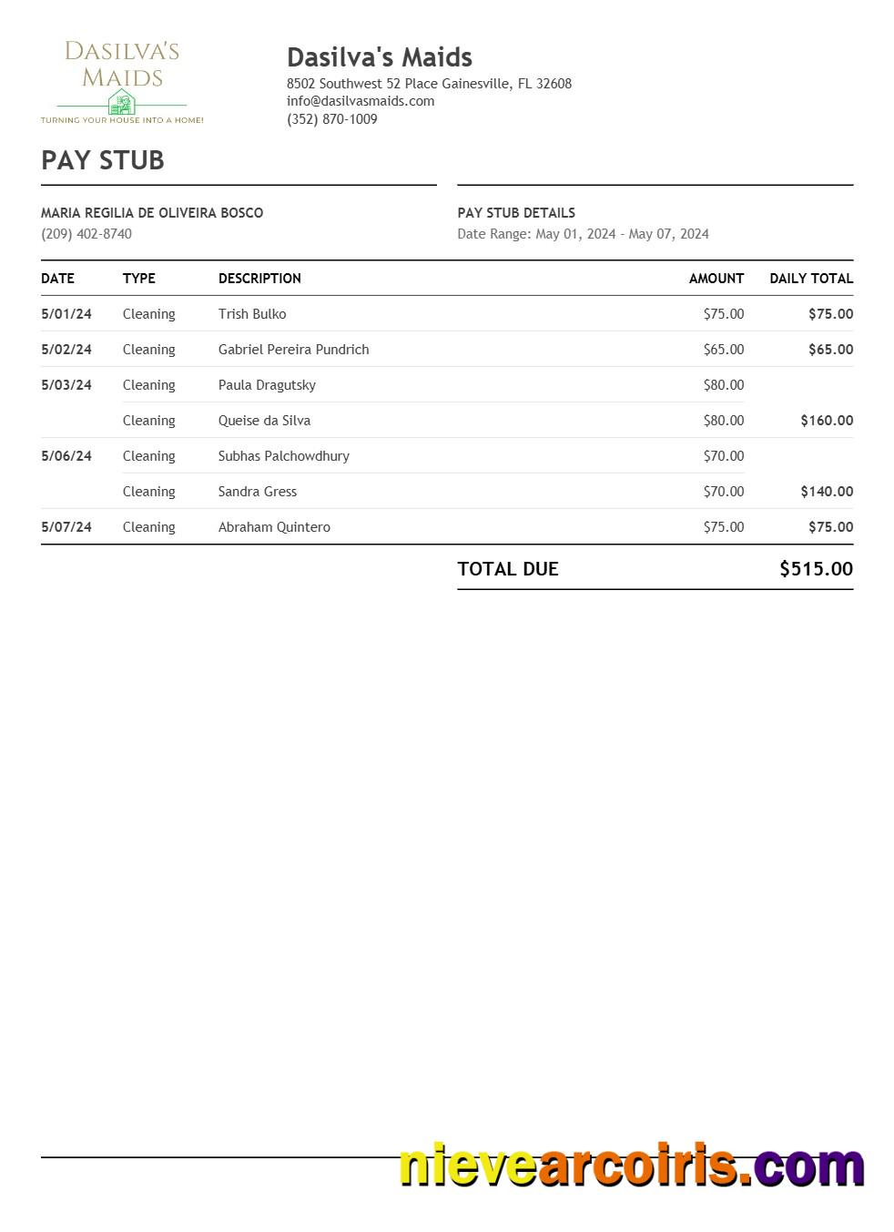 Dasilva's Maids pay stub